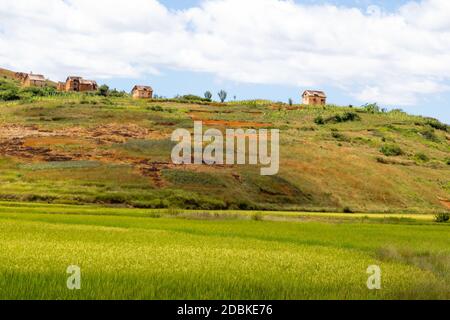 Die Landschaftsaufnahmen von grünen Feldern und Landschaften auf der Insel Madagaskar Stockfoto