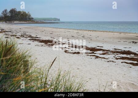 Menschenleerer Strand während der Coronavirus-Pandemie im Ferienort Boltenhagen an der Ostsee in Deutschland an einem trüben Herbsttag, Kopierraum, ausgewählt f Stockfoto