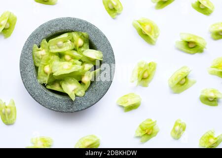 Moringa oleifera Samen in Steinmörtel auf weißem Hintergrund. Stockfoto