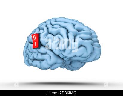 Gehirn mit Schalter für Zündung. 3d Render. Konzept von Kreativität, Intelligenz und Wissen. Stockfoto
