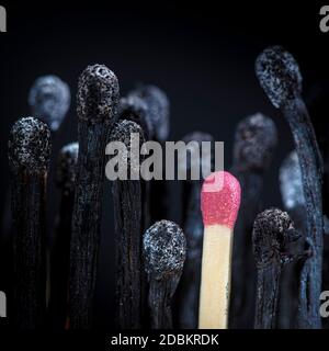 Verbrannte Streichhölzer und Streichhölzer noch intakt. Konzept von Gefahr und Individualität, Vielfalt. Stockfoto