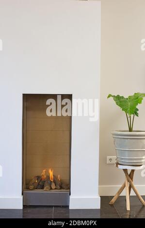 Weißer moderner dekorativer elektrischer Kamin mit einer schönen brennenden Flamme. Interieur mit Grünhaus-Anlage in einem modernen Luxuszimmer Nahaufnahme Stockfoto