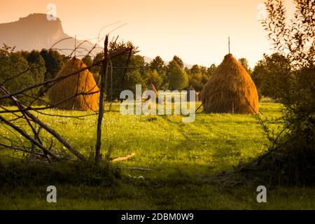 Haystacks bei Sonnenuntergang in Maramures die isolierte Region Bucovina Rumänien, Stockfoto
