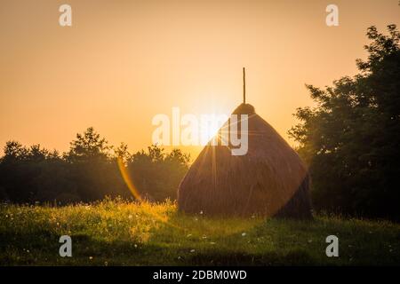 Haystacks bei Sonnenuntergang in Maramures die isolierte Region Bucovina Rumänien, Stockfoto