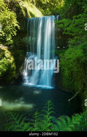 Silver Falls State Park, Oregon, USA Stockfoto