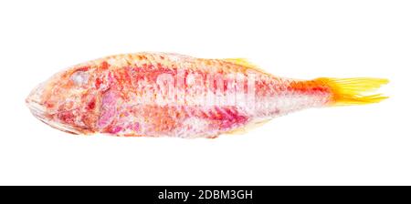 Schnell gefrorener roter Meerbarsch isoliert auf weißem Hintergrund Stockfoto