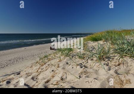 Strandeingang 18, Dierhagen, Bezirk Neuhaus, Halbinsel 'Fischland-Darss-Zingst', Nationalpark 'Vorpommersche Boddenlandschaft', Ostsee, Mecklenburg-Vorpommern, Deutschland Stockfoto