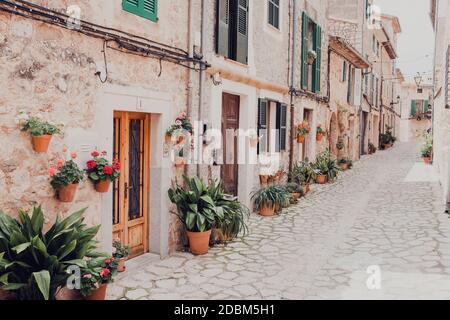 Topfpflanzen entlang gepflasterte Dorfstraße, Valldemossa, Mallorca, Spanien Stockfoto