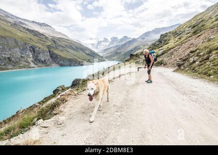 Senior Wanderer mit Hund in der Nähe von Stausee in Schweizer Alpen, Ã‚Â HauteÃ‚Â Route Traverse, Kanton Ã‚Â ValaisÃ‚Â, Schweiz Stockfoto