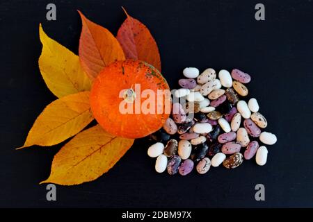 Herbstzusammensetzung, eine Handvoll Bohnen, reifer Kürbis und gelbe Blätter. Stockfoto
