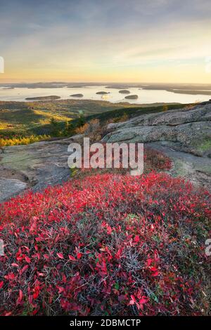 Sonnenaufgang vom Gipfel des Cadillac Mountain im Acadia National Park, Maine, USA Stockfoto