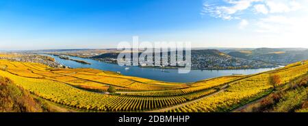 Rüdesheim am Rhein, Hessen, Deutschland. Oberes Mittelrheintal (Mittelrhein), bunte Weinberge, gelber Herbst, blauer Himmel. Panoramaansicht auf bin Stockfoto