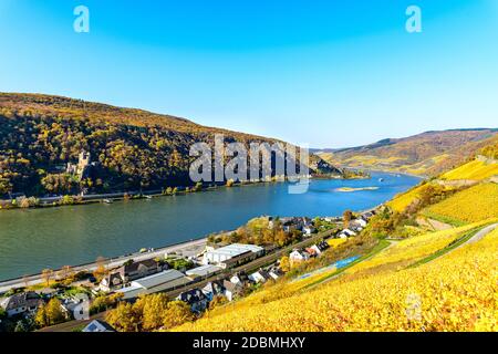 Zwei Burgen Blick, Burg Rheinstein, Reichenstein, oberes Mittelrheintal (Mittelrhein), bunte Weinberge, gelber Herbst. In Der Nähe Von Assma Stockfoto