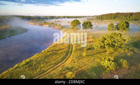 Sommer nebliger Sonnenaufgang auf der Wiese. Landstraße auf grünen Feldern Flussufer. Sonnenlicht auf großen Eichenwäldern Hain am Morgen. Luftaufnahme, Weißrussland, Beresina r Stockfoto