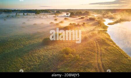 Sommer nebliger Sonnenaufgang auf der Wiese. Landstraße auf grünen Feldern Flussufer. Sonnenlicht auf großen Eichenwäldern Hain am Morgen. Luftaufnahme, Weißrussland, Beresina r Stockfoto