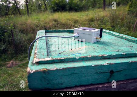 Weißer Sender mit kleinem Solarpanel und Bienen-Monitoring-System auf grünem Bienenstock aus Holz, intelligente Technologie iot-Anwendung Stockfoto