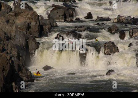 Kajakfahrer, die durch die Stromschnellen im Great Falls National Park fahren Stockfoto