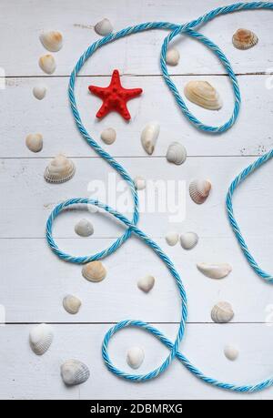 Sea rope with many different sea shells on a blue wooden background. Top view Stockfoto