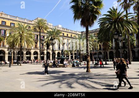 Plaça Reial und seine Palmen in Barcelona, Katalonien, Spanien Stockfoto