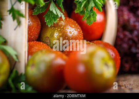Frische hausgemachte Tomaten mit Tau-Tropfen. Tolles Makro-Food-Foto. Gesunde Ernährung. Stockfoto