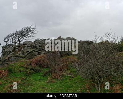 Helman Tor, Bodmin,, Lanlivery, der Saints Way führt durch das Helman Tor Nature Reserve und das prähistorische Hügelfort, Cornwall, Großbritannien, 17. November 202 Stockfoto