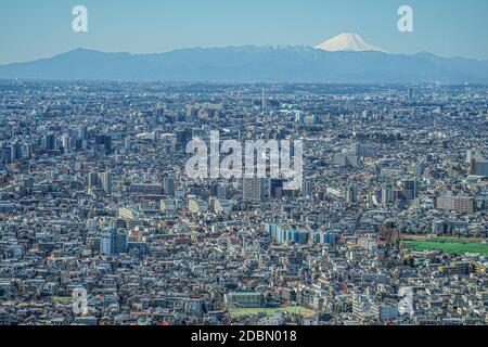 Skyline von Tokio und der Fuji-Berg, der vom Observatorium des Tokyo Metropolitan Government Building aus zu sehen ist. Drehort: Tokyo metropolita Stockfoto