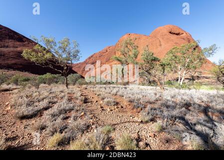 Spektakuläre australische Landschaft in der Nähe von Alice Springs, Northern Territory, Australien. Stockfoto