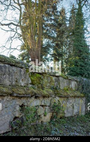 Alte Steinmauer in einer Stadt in Süddeutschland gesehen Abends Waldenburg genannt Stockfoto