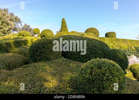 Formgehölze in den Gärten des Jardins de Marqueyssac in der Region Dordogne Frankreich Stockfoto