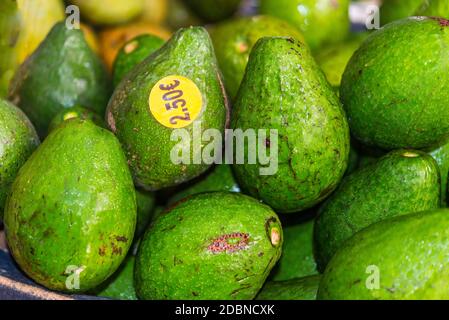 Avocados auf Verkauf (mit Preis) Im Markt für Obst und Gemüse in Fort-de-France, Martinique, Frankreich Stockfoto