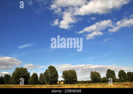 Landschaft im EXPO-Park in Hannover Stockfoto