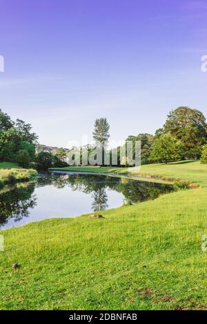 Eine Kurve im Fluss Bela im Dallam Park, Milnthorpe, Cumbria, Großbritannien Stockfoto