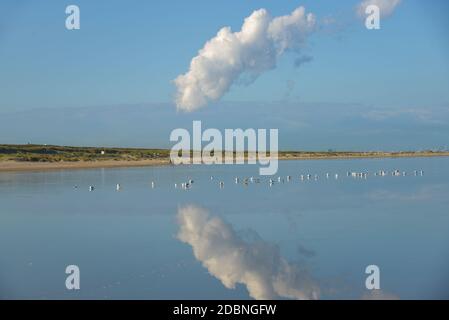 Spiegelung von Wolken im Wasser bei Zandmotor, Monster, Holland Stockfoto