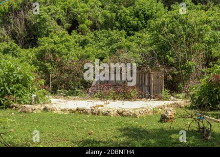 Alte verfallene Bambuszäune in dichter tropischer Vegetation auf Bali. Ein Bambuslattenzaun, der zum Boden geneigt ist. Die Zweige der Bäume wachsen zwischen uns Stockfoto