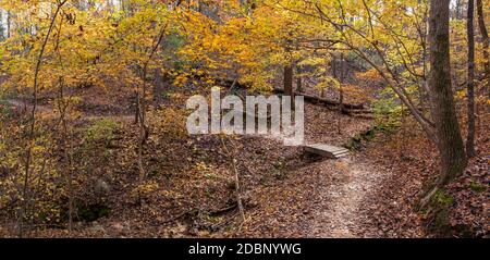 Ein Wanderweg mit Steg schlängelt sich durch das leuchtende Herbstlaub im McDowell Nature Preserve in Charlotte, North Carolina. Stockfoto