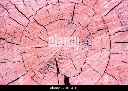 Rosa im Alter und schneiden Holz Textur geknackt. Strukturierte und verwitterten geschnittenen Baum Hintergrund. Grunge Rosa Plank Stockfoto