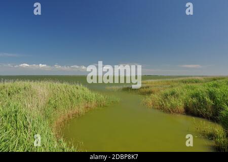 Landschaft bei Wustrow, Blickrichtung Saaler Bodden, Ostsee, Halbinsel Fischland-Darss-Zingst, Mecklenburg-Vorpommern, Deutschland Stockfoto