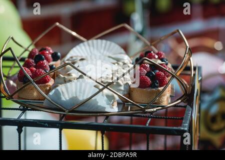 Köstliches Dessert: Bayerische Sahne mit roten und blauen Beeren auf einem weißen Teller. eclair Stockfoto