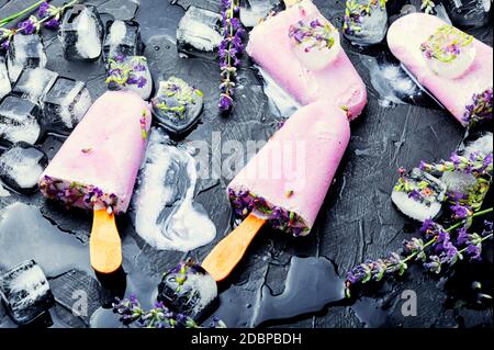 Sommerdessert, Eis mit blühendem lavender.Organic Eis Stockfoto