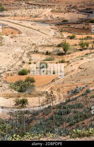 Landschaft von Feldern und Bergen in der Nähe von Antigua Dorf, Fuerteventura, Kanarische Inseln, Spanien Stockfoto