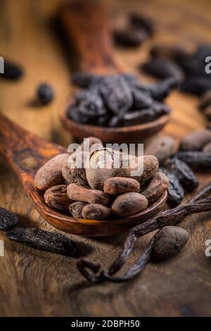 Duftende Tonka und Kakaobohnen mit Vanillebohnen zum Backen Und Kochen auf dunklem Hintergrund Stockfoto