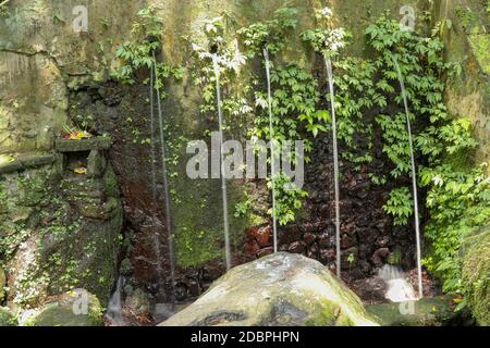 Heilige Wasserquellen im Pakerisan Tal am Grabkomplex Tampaksiring. Gunung Kawi, Bali, Indonesien. Opfer an die Götter auf dem Altar. Ich Stockfoto
