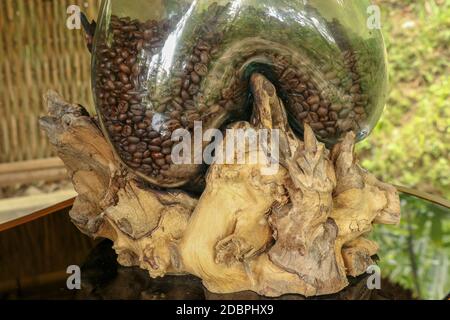 Natürliche Kaffee Arabica-Bohnen in einem Glas Zierglas auf einer abstrakten Baumwurzel platziert. Detail von gerösteten Kaffeebohnen in Glas Glas auf Kaffee Farm in Stockfoto