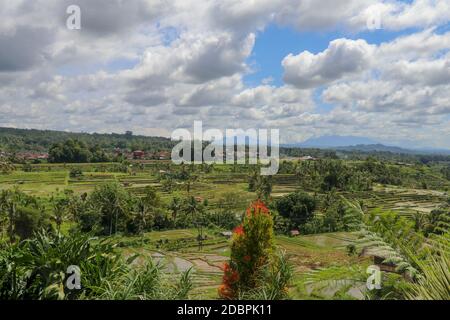 Berglandschaft in Jatiluwih mit Reisfeldern und Terrassen auf Bali. Malerische Landschaft auf der UNESCO-Liste. Immer noch grüne Umgebung w Stockfoto