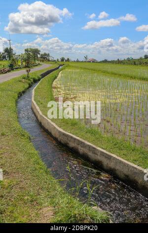 Bewässerungskanal namens subak, eine traditionelle Art, Wasser zu den Feldern und Reisterrassen in der Jatiluwih-Gegend zu bringen. Ursprüngliche Methode der Bewässerungsmethode Stockfoto