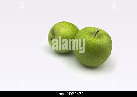 Ein Paar grünlich goldene Äpfel isoliert über weiß und Mit Kopierbereich Stockfoto