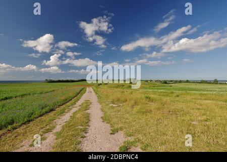 Bakelberg, zwischen Ostsee und Saaler Bodden, Blickrichtung Ahrenshoop, Halbinsel Fischland-Darss-Zingst, Nationalpark Vorpommersche Boddenlandschaft, Mecklenburg-Vorpommern, Deutschland Stockfoto