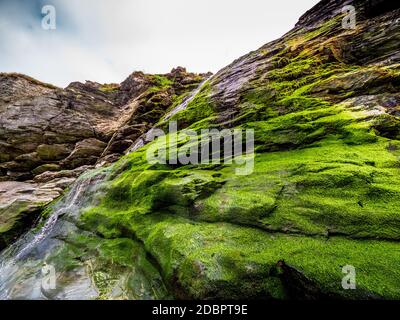 Schönen Wasserfall über Bemooste Steine in der Bucht von Tintagel in Cornwall. Stockfoto