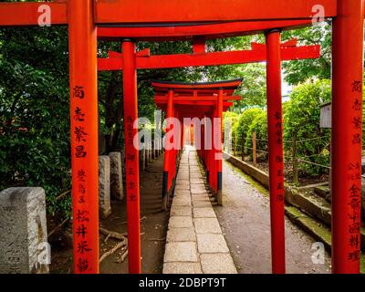 Nezu Jinja Schrein - die berühmten Shinto Schrein in Tokio Bunkyo Stockfoto