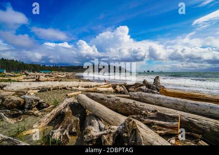 Der La Push Strand ist sagenhaft im Indianerreservat Quileute Stockfoto